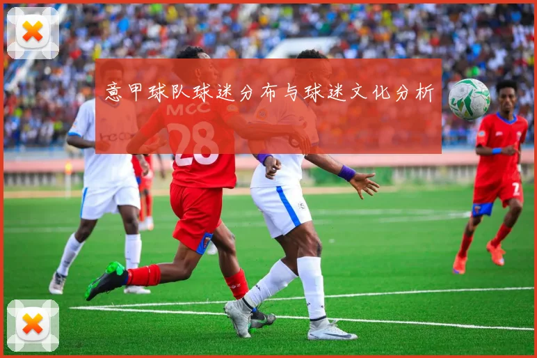 意甲球队球迷分布与球迷文化分析