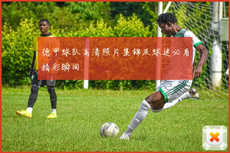 德甲球队高清照片集锦及球迷必看精彩瞬间
