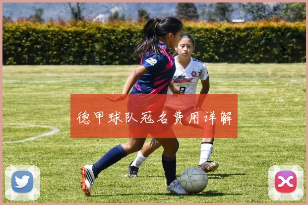 德甲球队冠名费用详解